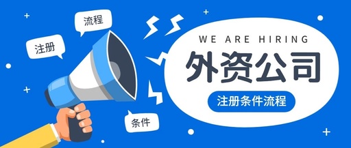 外資公司注冊