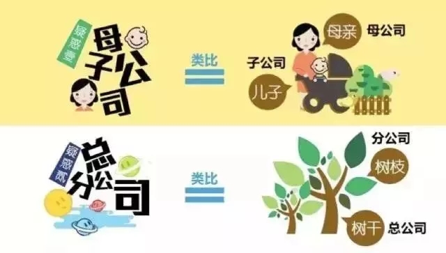 深圳母公司與子公司的區別